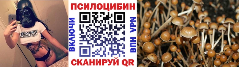 Галлюциногенные грибы Psilocybe  Могоча 